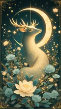 Lunar Grace