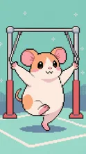 体操モルモット