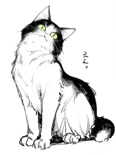 線だけの世界·塗らずに描く の投稿作品