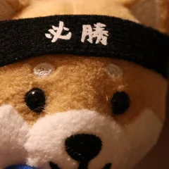 神在月