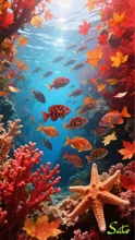 海底紅葉