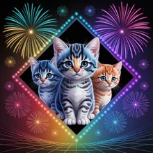 猫と花火