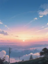 空11