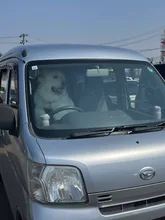 犬ドライバー