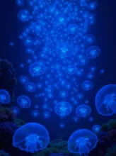 深海さんぽ·ゆらめく青の楽園 の投稿作品