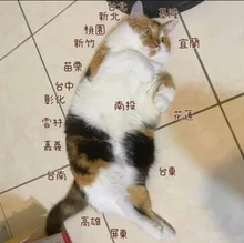 ニャンコマップ 台湾