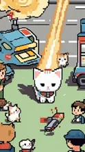 渋谷の子猫