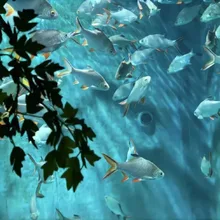The art of fish — Ga_zzzさんのAIイラスト
