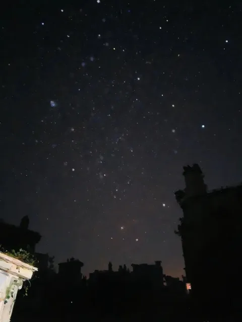 冬の星座