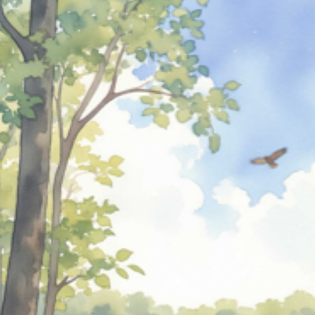 帚木