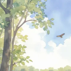 帚木