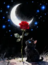 闇デモ咲く薔薇