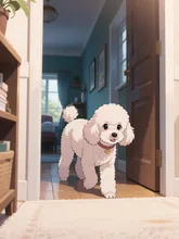 プードル