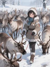 トナカイの放牧🦌