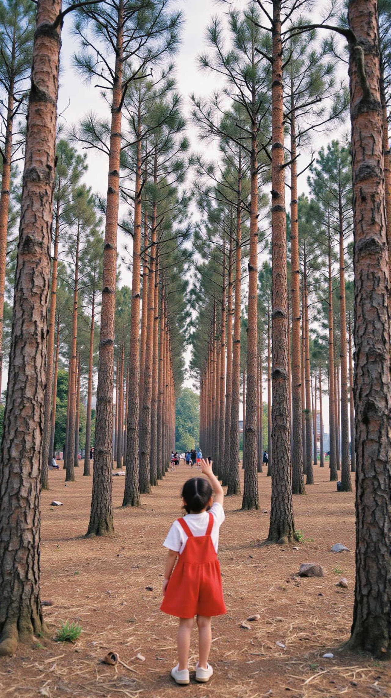 Landscape Short Tree Top Touch Child Forest