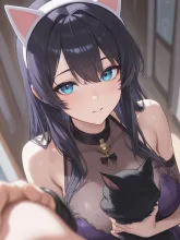 可愛すぎる猫