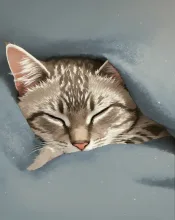 今日は寒いにゃ