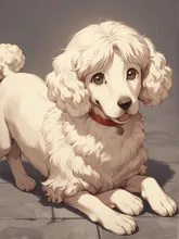 ワン🐶