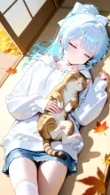 猫と縁側とうたた寝