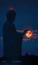 慈悲の心