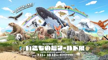 特別展「いきもの超ワールド展 国立科学博物館×ダーウィンが来た！」