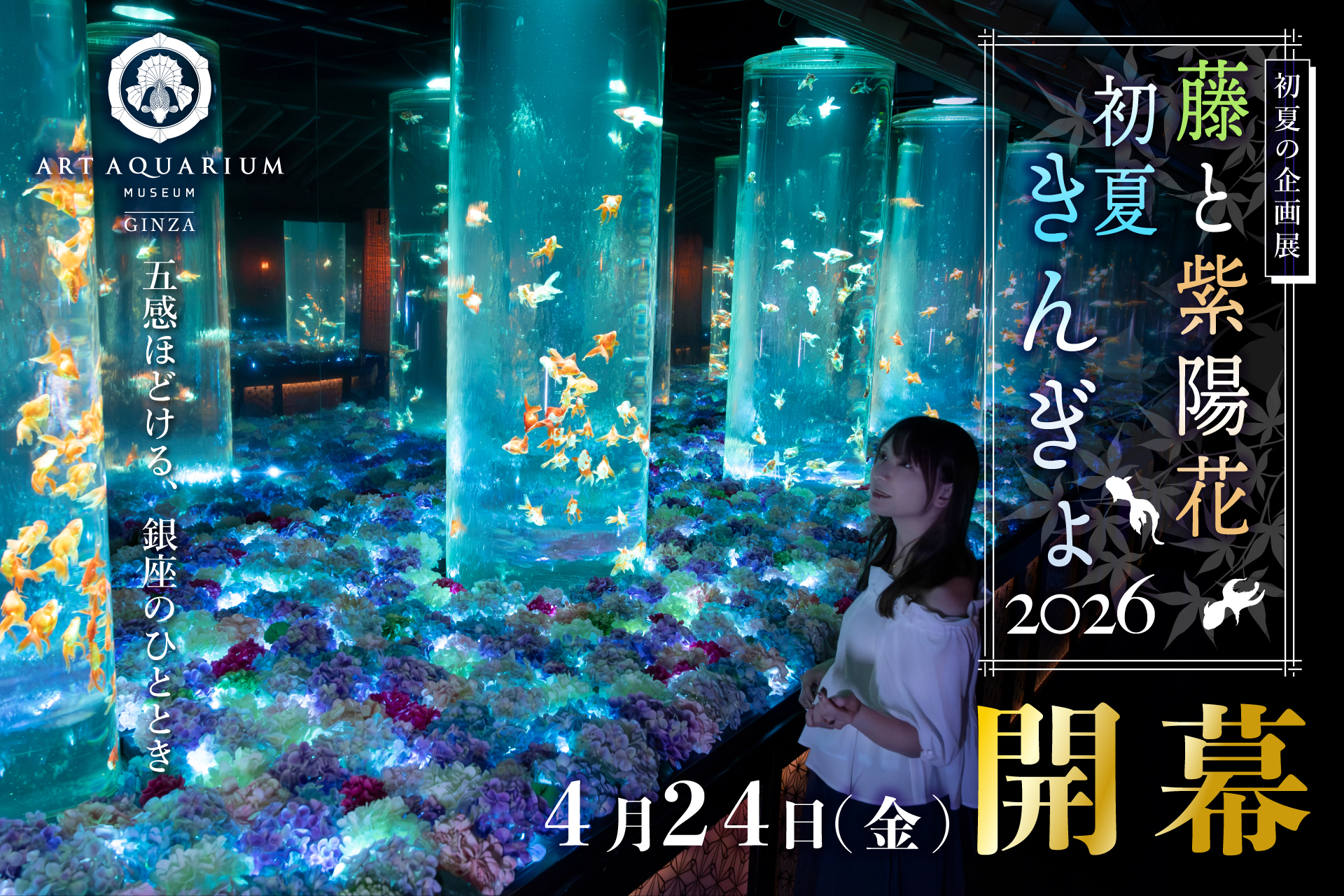 アートアクアリウム美術館 GINZA
