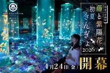 アートアクアリウム美術館 GINZA