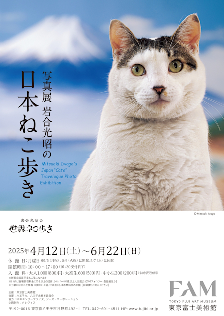 「写真展 岩合光昭の日本ねこ歩き」
