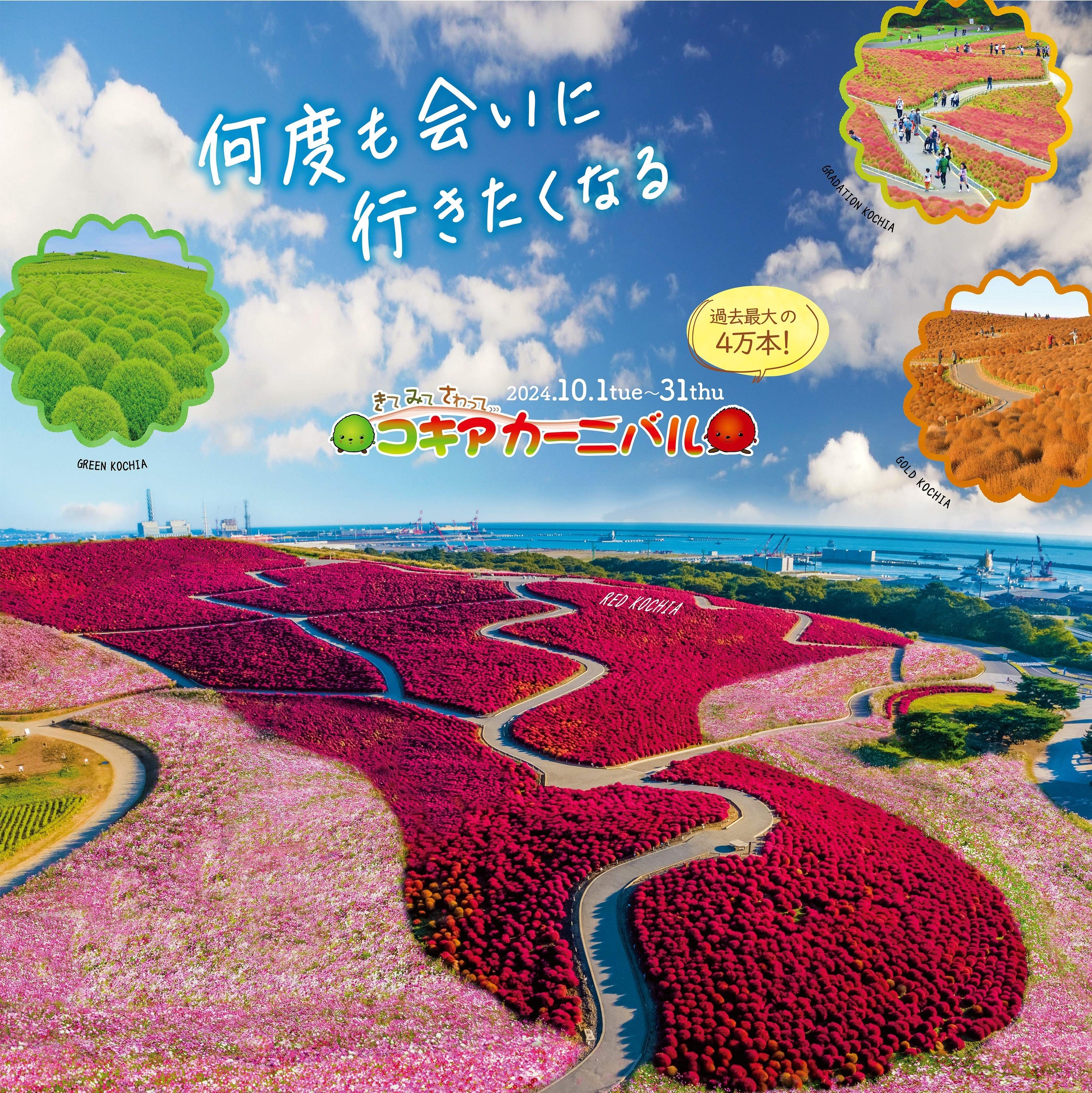 国営ひたち海浜公園 コキアカーニバル
