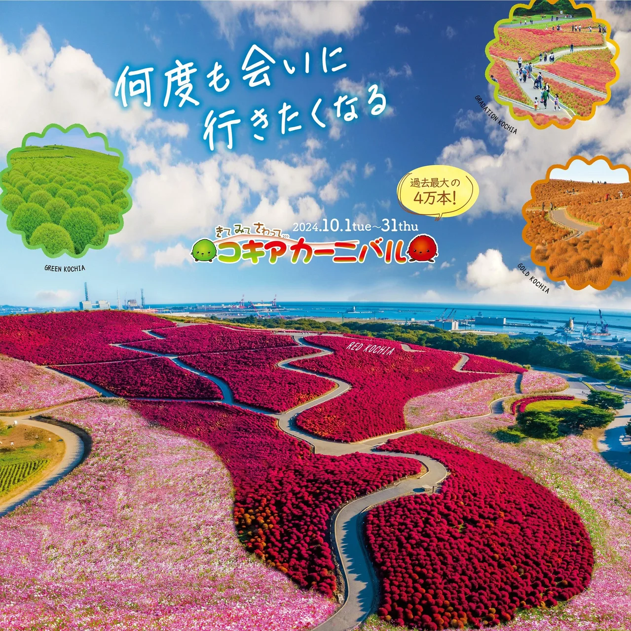 国営ひたち海浜公園 コキアカーニバル 2026