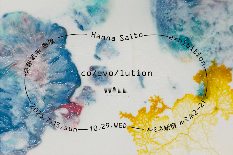 齋藤帆奈 「co/evo/lution」