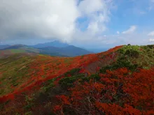 秋田駒ヶ岳の紅葉 2026