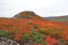 三ツ石山の紅葉 2026