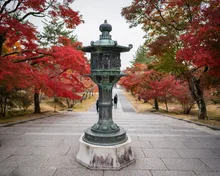 仁和寺の紅葉 2026