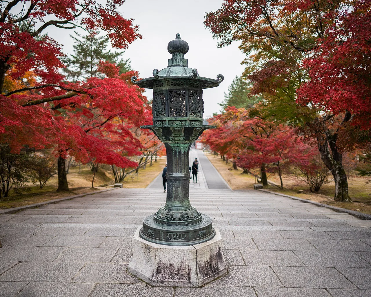 仁和寺の紅葉 2026