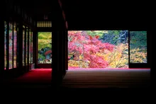 天授庵(南禅寺塔頭)の紅葉 2026
