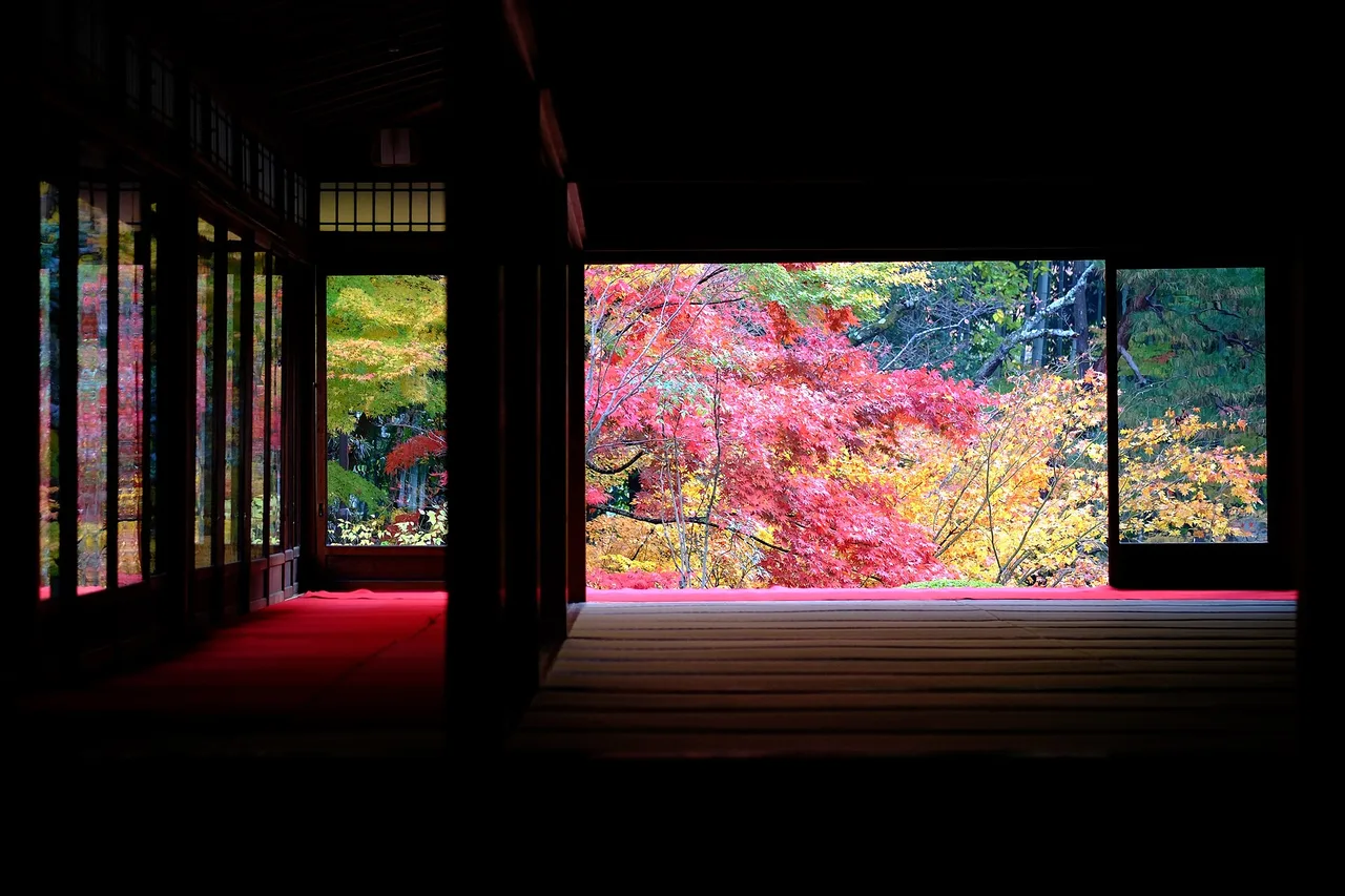 天授庵(南禅寺塔頭)の紅葉 2026