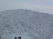 蔵王の樹氷ライトアップ