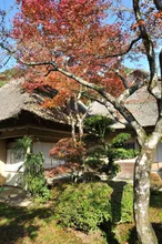 九年庵 秋の一般公開2026