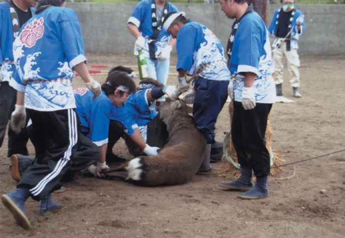 神鹿角切り行事祭2026