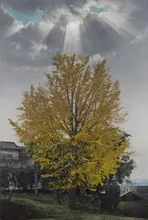 四季を写す絵画たち