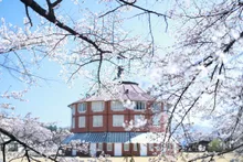 伊東豊雄展「桜の下で―自然と建築―」