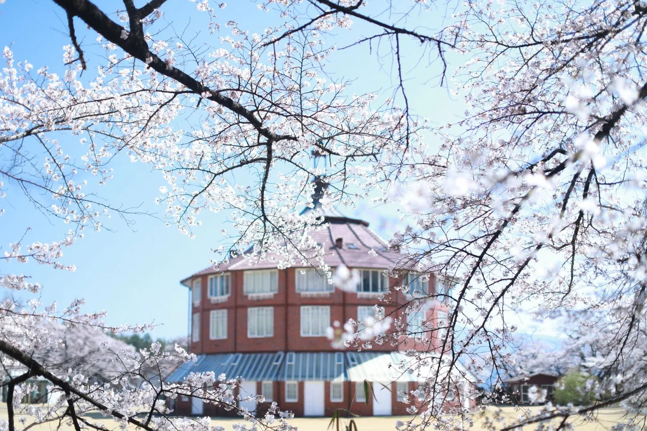 伊東豊雄展「桜の下で―自然と建築―」