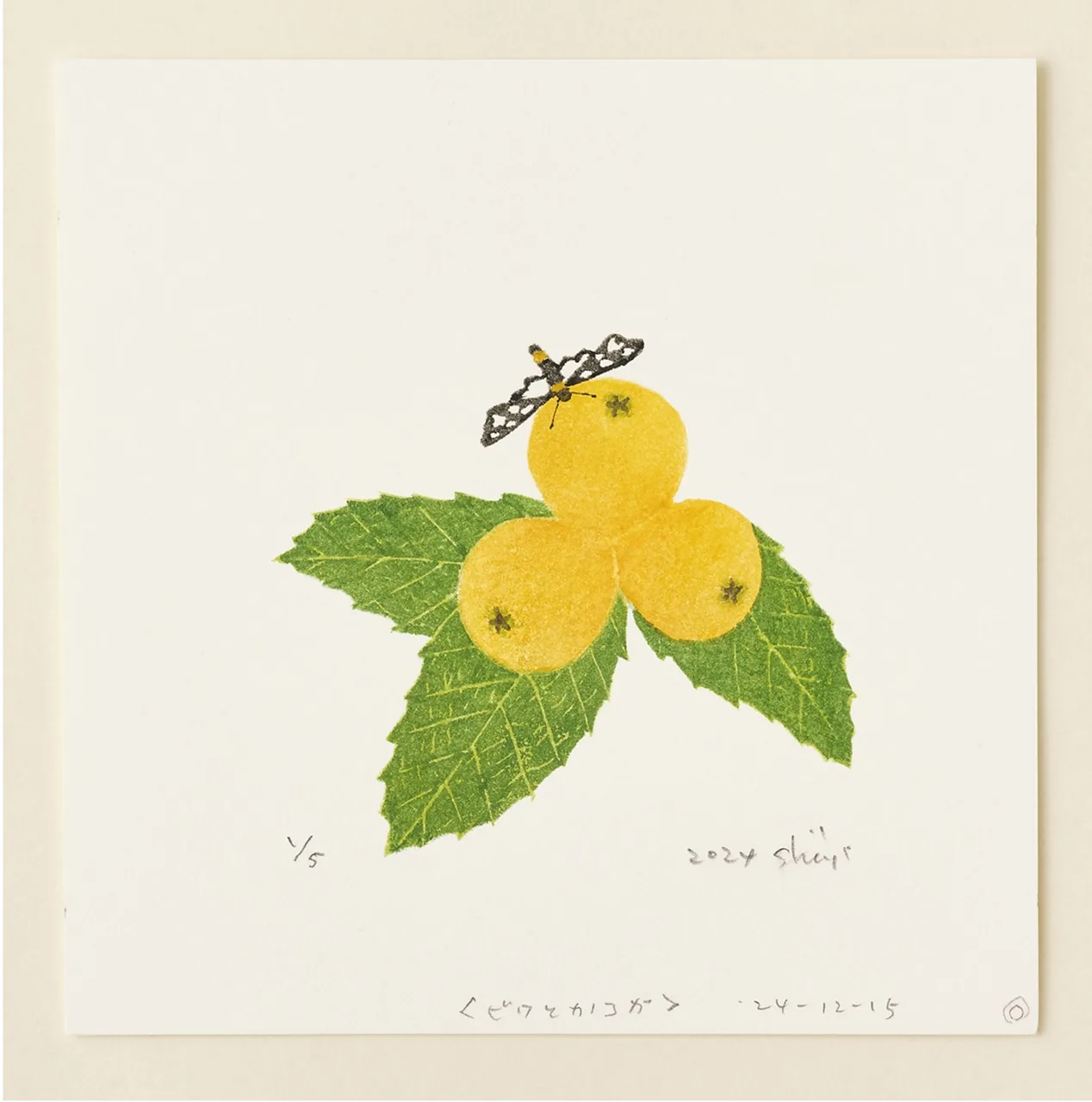 企画展 山室眞二の薯版画〈かまくら博物誌〉/併陳 コレクション 暮らしの中で