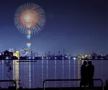 第95回 土浦全国花火競技大会 2026
