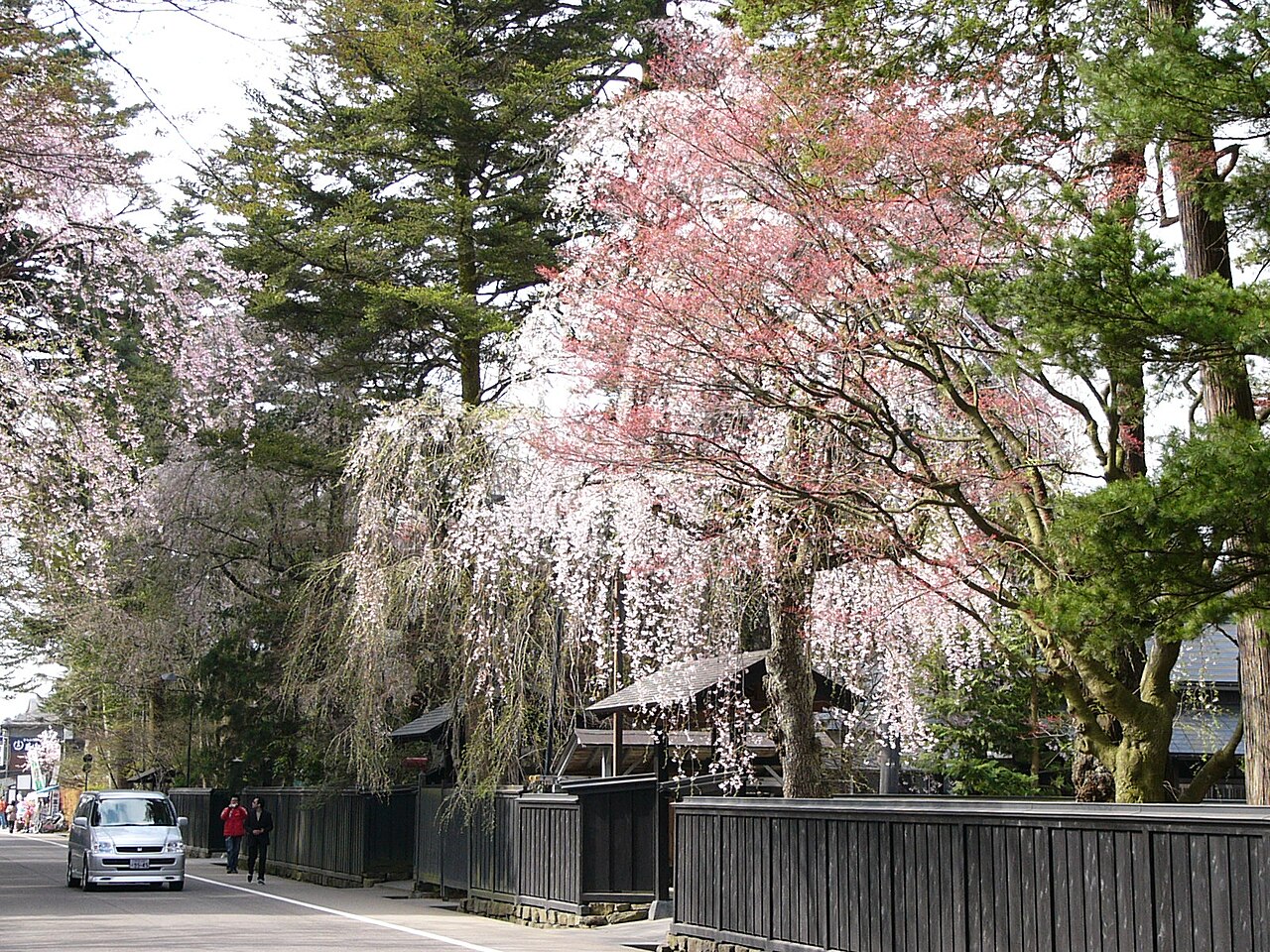 角館の桜まつり2027