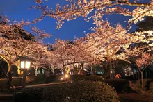 金沢城・兼六園四季物語〜秋の段〜（ライトアップ）