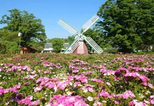 きららマルシェinフラワーセンター2026秋