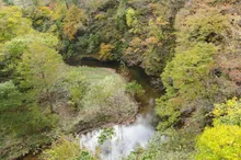 【紅葉・見ごろ】青沢渓谷