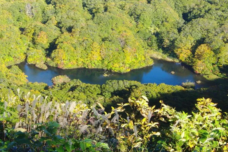 【紅葉・見ごろ】鶴間池
